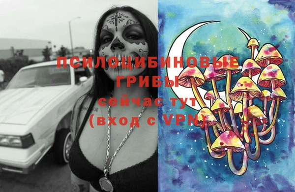 прущие крисы Алзамай