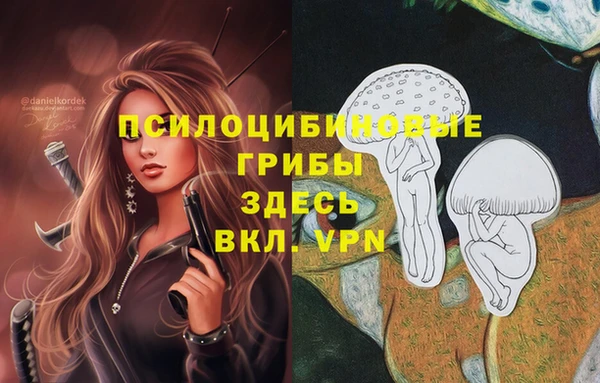 первитин Пролетарск
