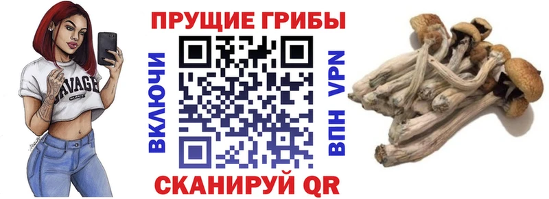 Псилоцибиновые грибы мухоморы  Сатка 