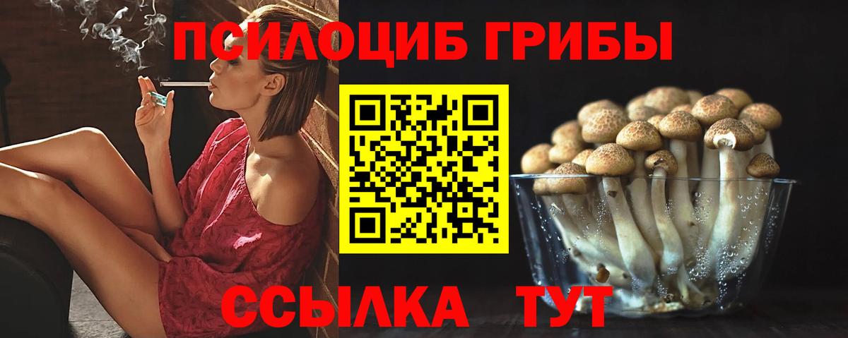 Галлюциногенные грибы мицелий  Вход с VPN  Псилоцибиновые грибы прущие грибы  Сатка 