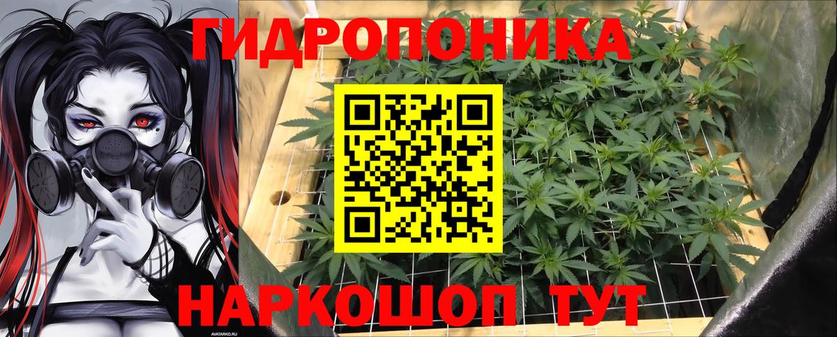 Канабис OG Kush  Канабис OG Kush  Вход с VPN  Бошки марихуана AK-47  Бошки марихуана OG Kush  Сатка 